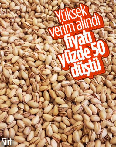 Siirt fıstığının fiyatı yarı yarıya düştü