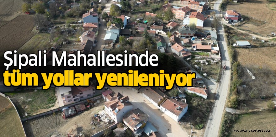 Şipali Mahallesinde tüm yollar yenileniyor