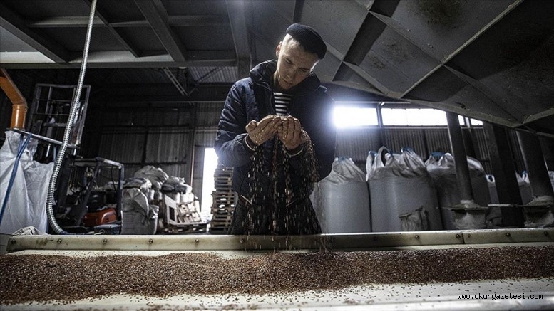 Tahıl koridoru anlaşmasında Türkiye’nin yer alması Ukrayna’da tüccarlara güven veriyor