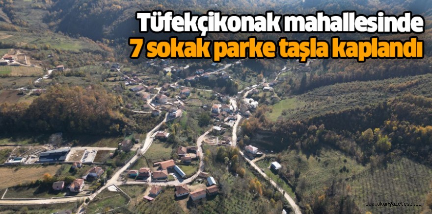Tüfekçikonak mahallesinde 7 sokak parke taşla kaplandı