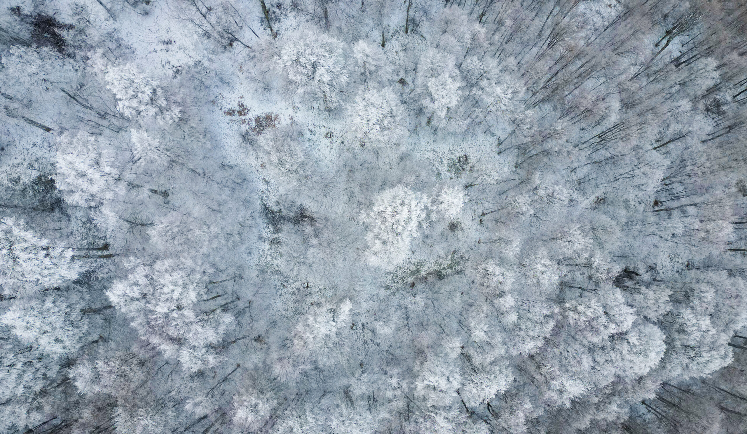 Boğazova beyaza büründü