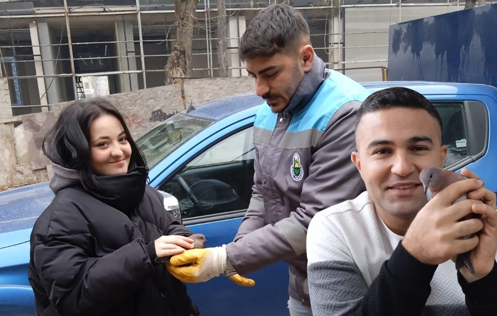 Yaralı kumru tedavi altına alındı