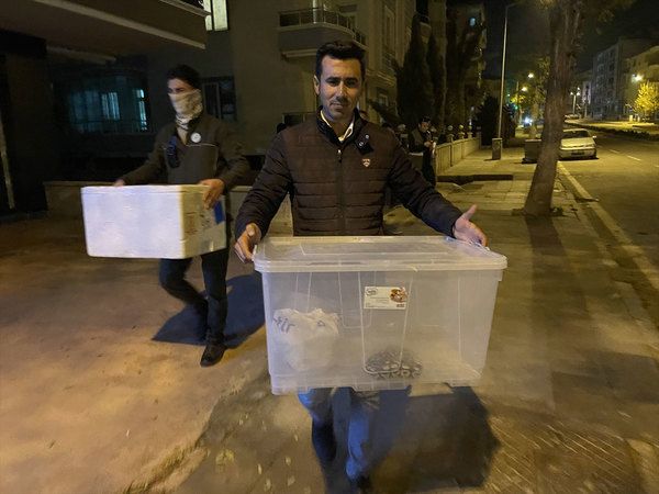 Kraliyet pitonu, çin kaplumbağası ve sakallı ejderler ile 9 yavrusu…