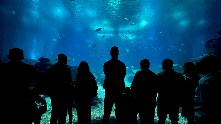 Almanya’da dev akvaryum patladı