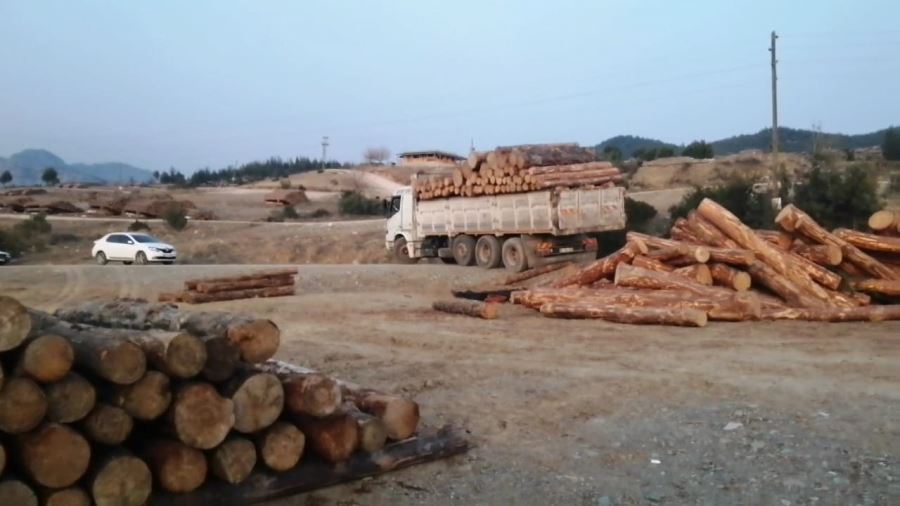 Tomrukların üstüne düşen kişi hayatını kaybetti
