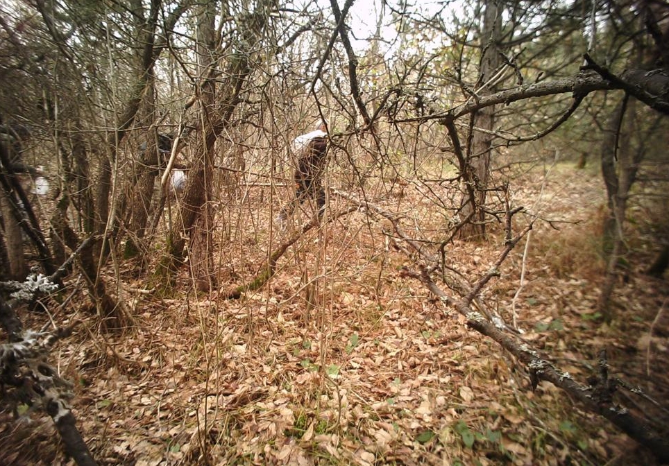 İzinsiz kazı için dedektörle arama yapan 3 kişi yakalandı