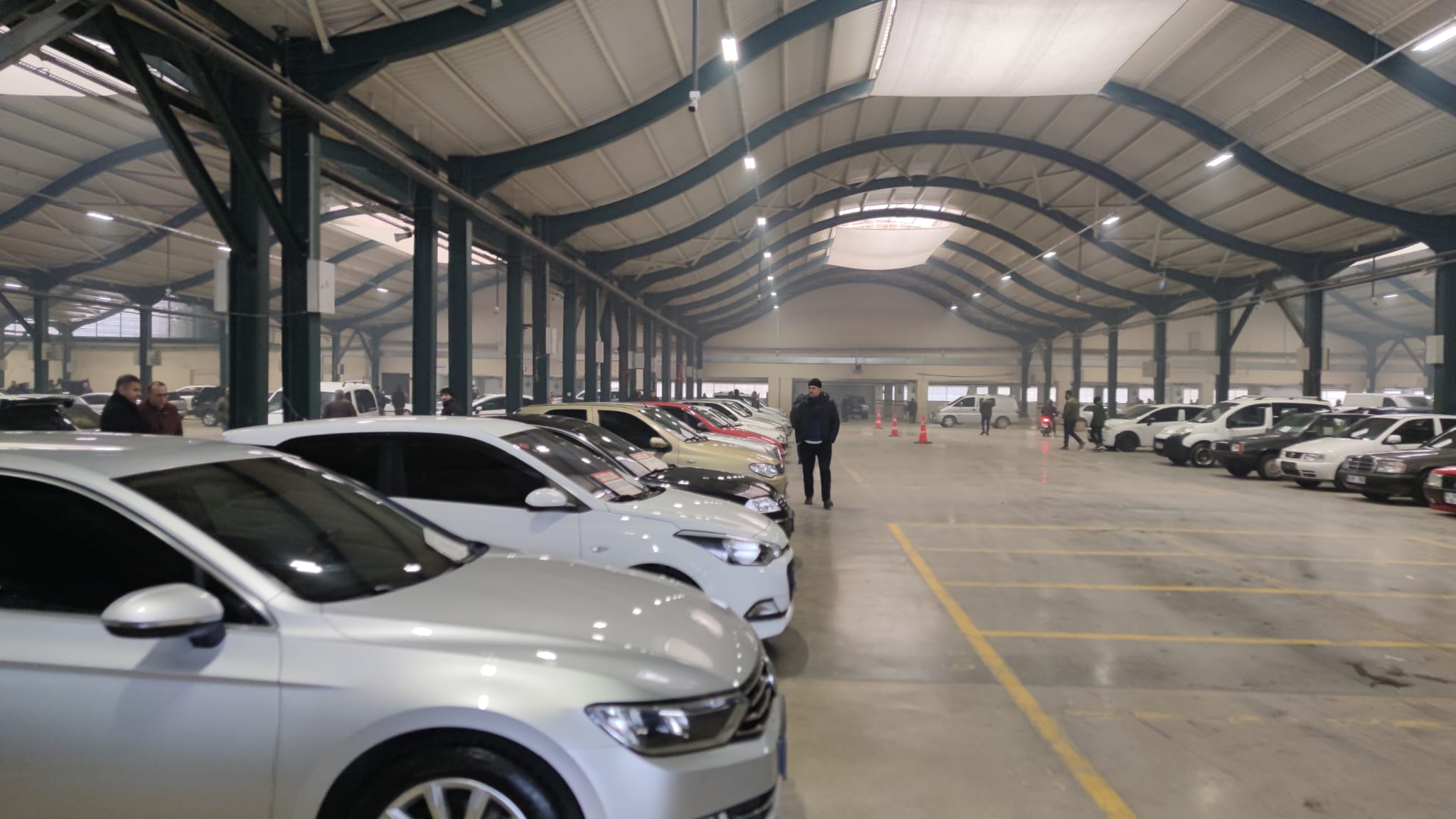 Yaprak kıpırdamıyor