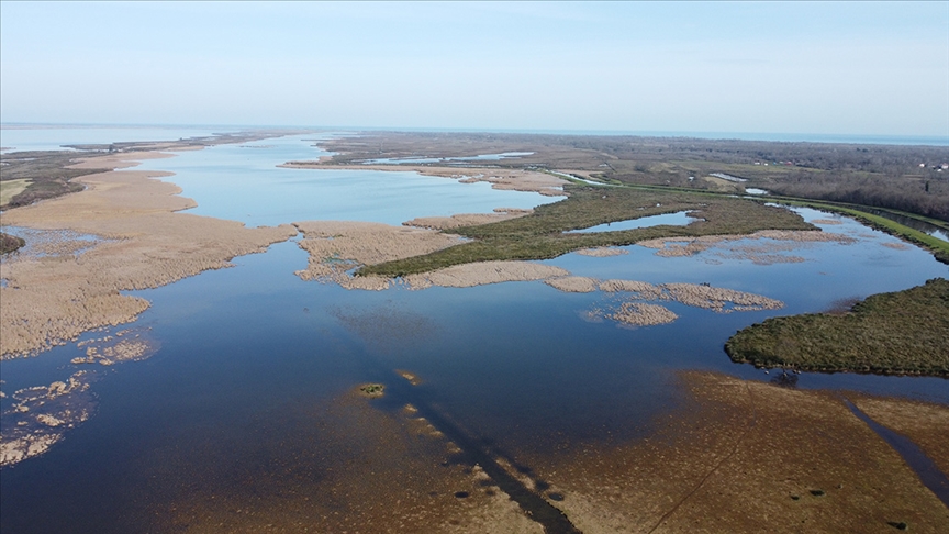 Türkiye’de 105 sulak alan bulunuyor