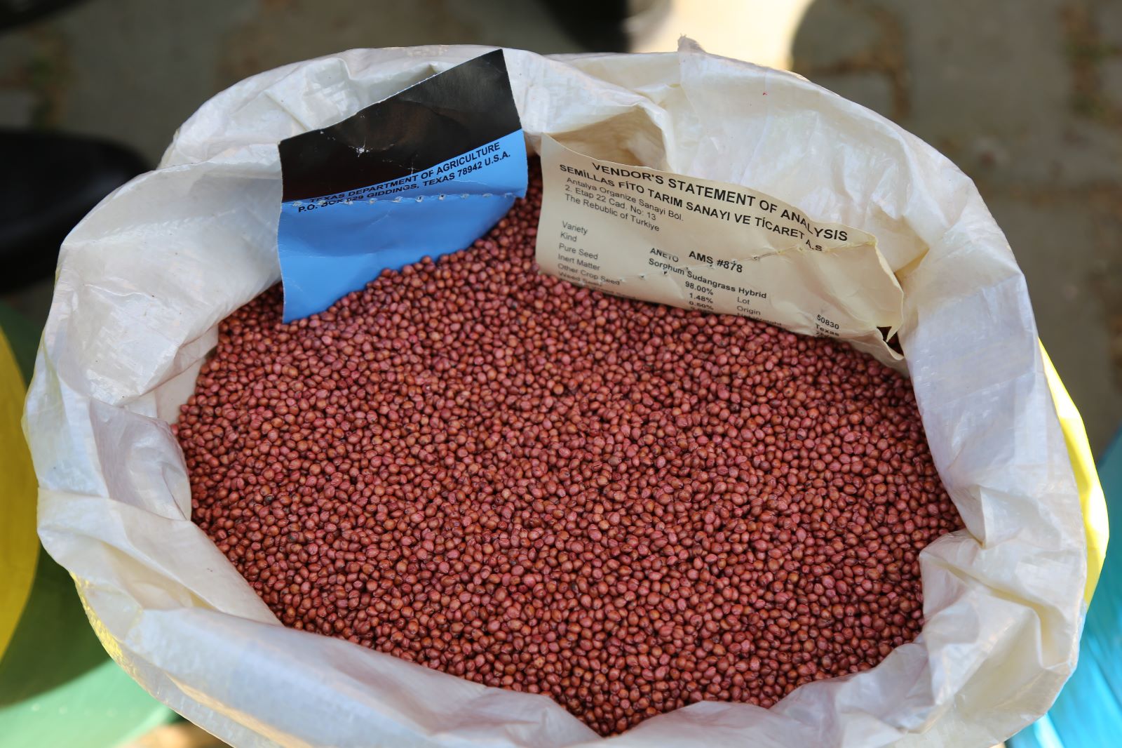 Çiftçilere kuraklığa karşı iklim dostu sorgum otu tohumu dağıtıldı