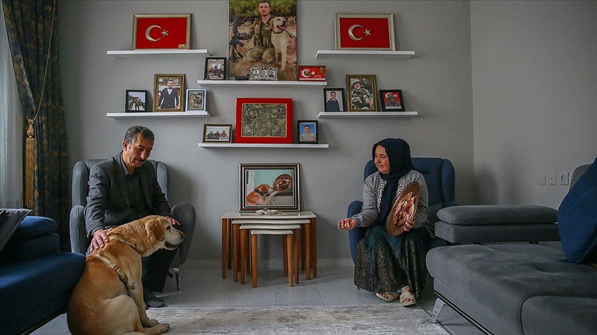 Şehidin emaneti mayın arama köpeği “Atmaca” depremlerin ardından yuvaya döndü