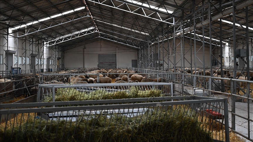 TAGEM yılda 80’den fazla projeyle çiftçinin hizmetinde