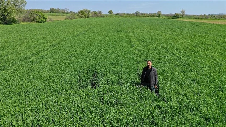 Çiftçi, azaltılmış toprak işleme yöntemiyle verim kaybı yaşamadan maliyetlerini düşürdü