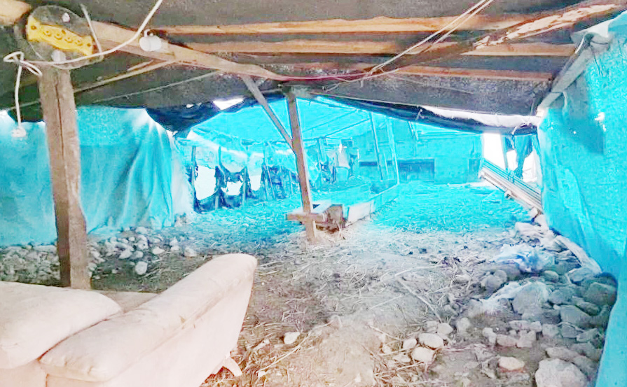 Kaçak kazı yapan 2 kişi gözaltına alındı