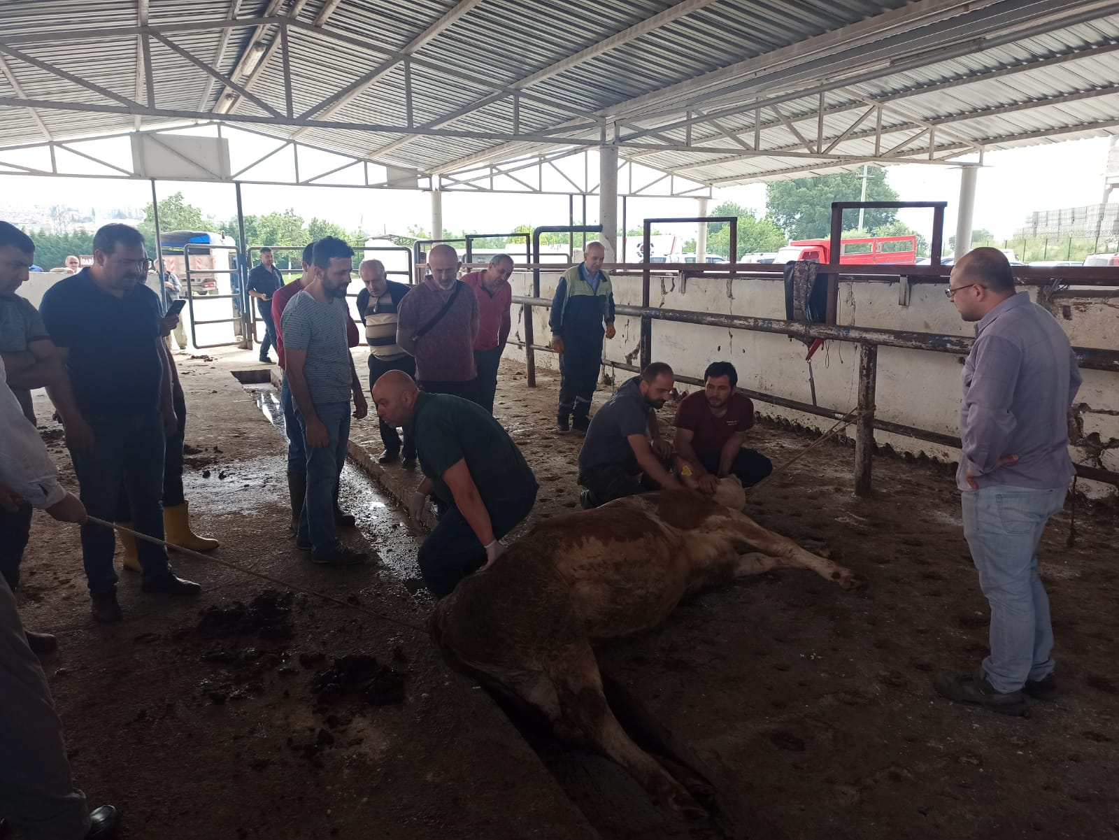 45 kurban kesim kursiyeri sertifikasını aldı