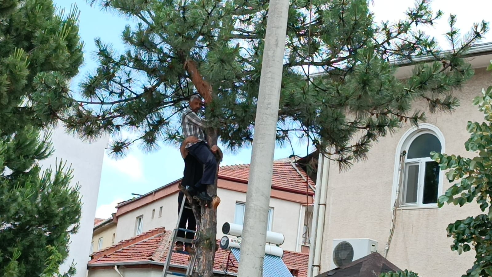Budama yaparken ağaç üzerinde fenalaşan vatandaşın imdadına İtfaiye Ekipleri yetişti