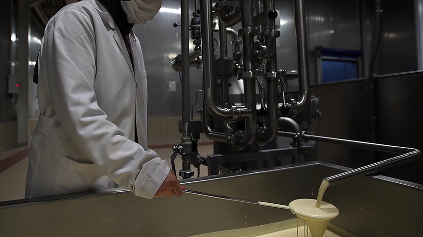 35 ildeki 11 bin üreticiye “Uygulamalı Süt Hijyeni Eğitimi” verildi