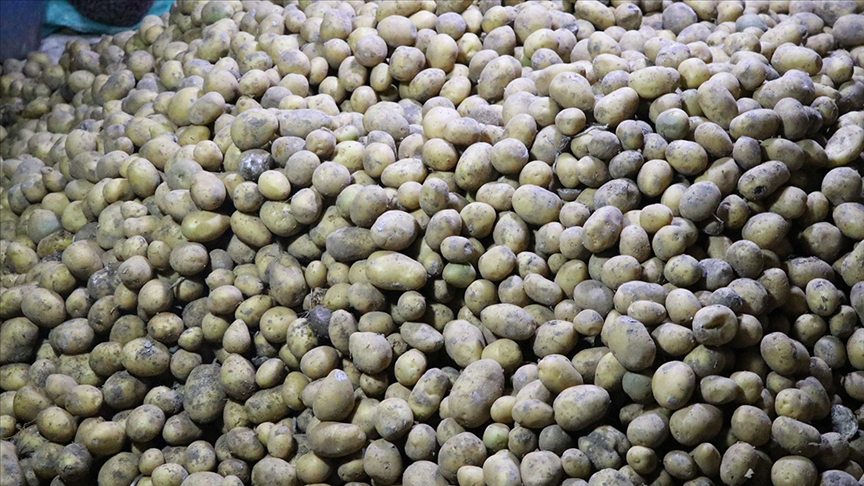 Mayısta fiyatı en fazla artan ürün “patates ve bazı yumru bitkiler”, en fazla düşen “doğal gaz” oldu