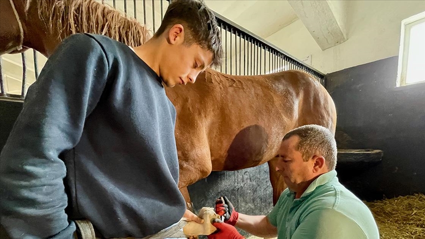 Geleceğin şampiyon adayı taylara “pedikür” hizmeti