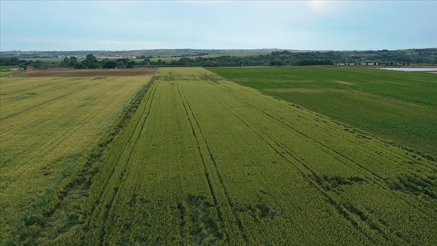 Türkiye’de tarımsal kuraklık riski internetten izlenebilecek