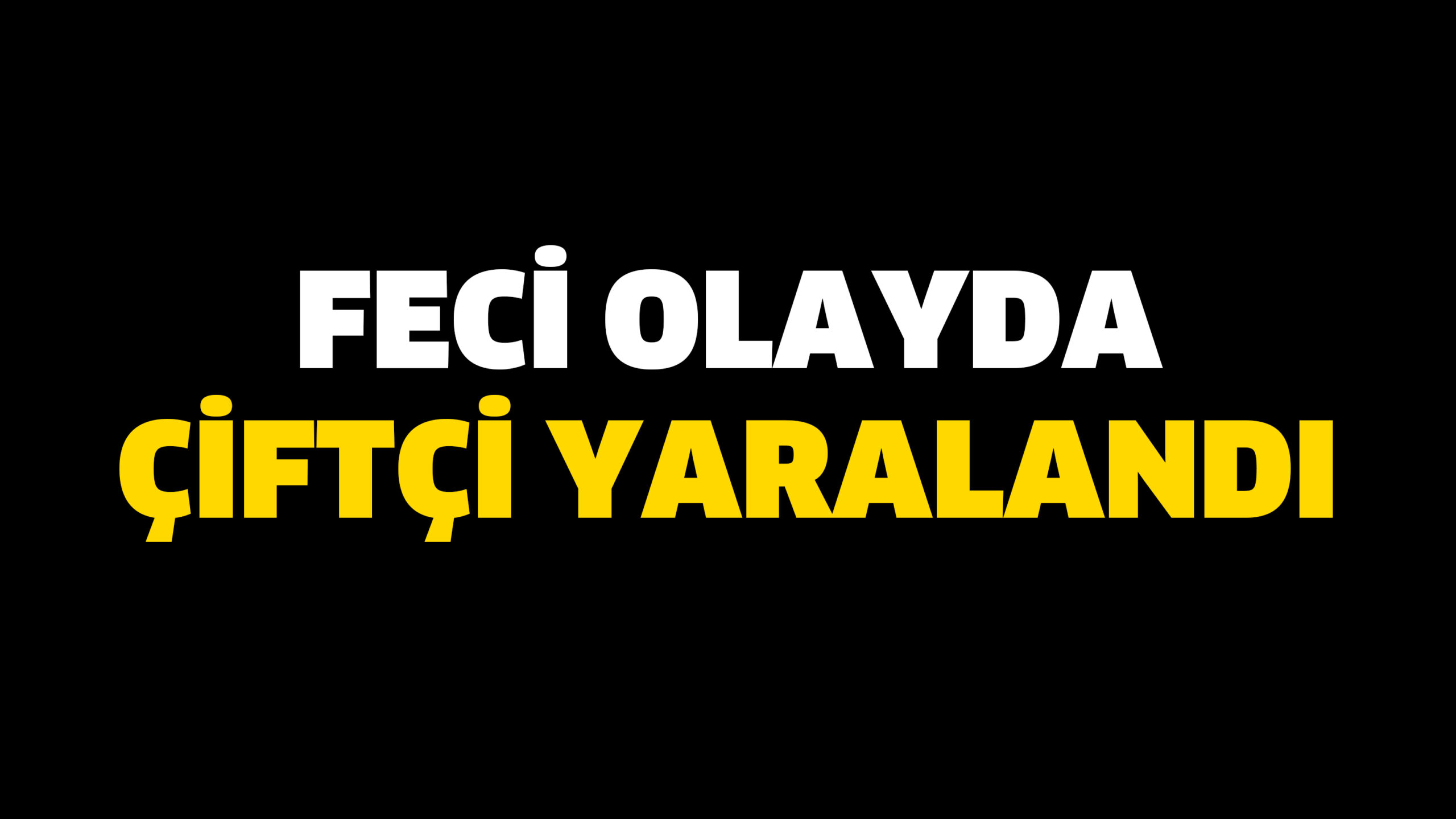Feci olayda çiftçi yaralandı