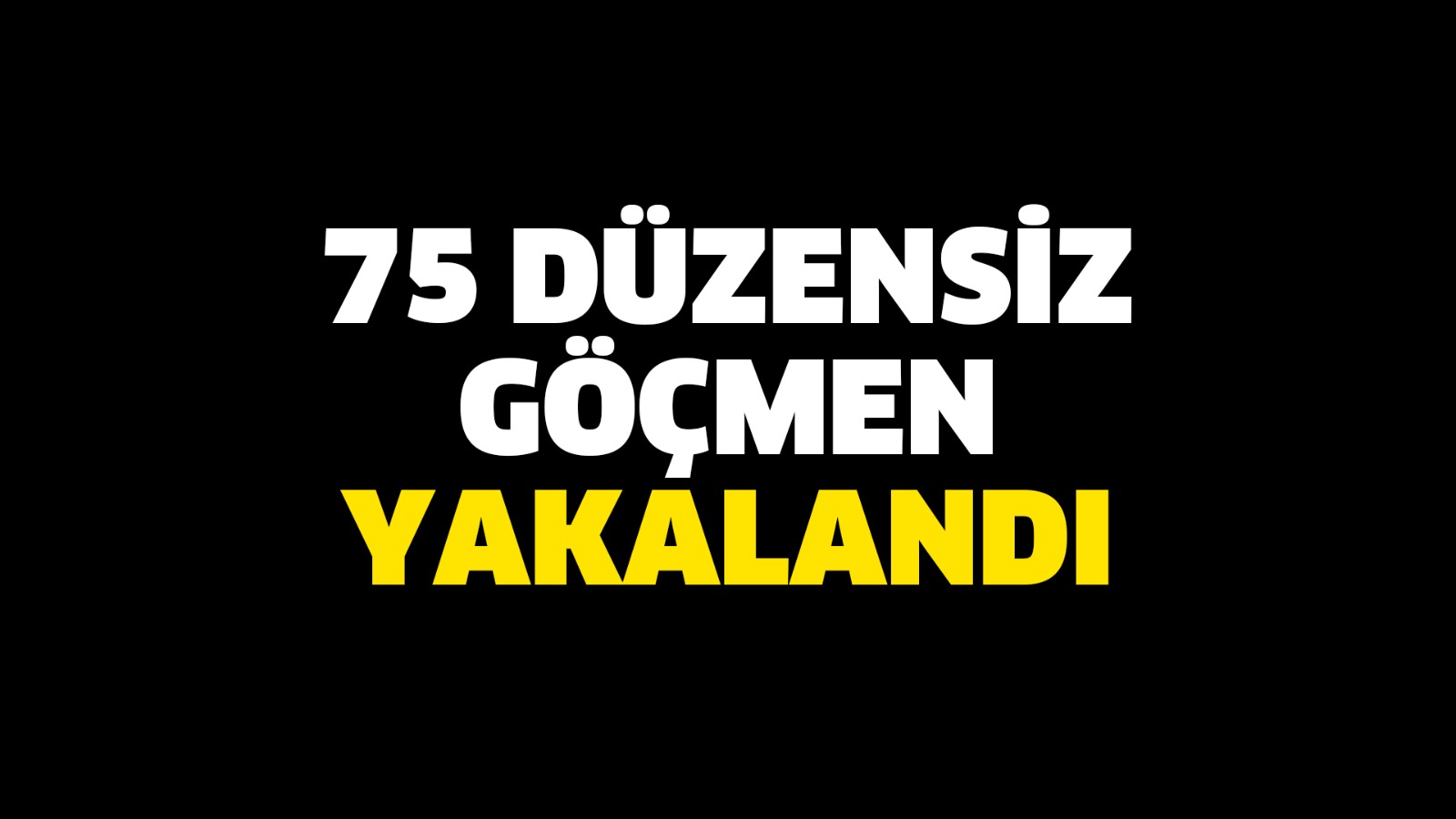 75 düzensiz göçmen yakalandı