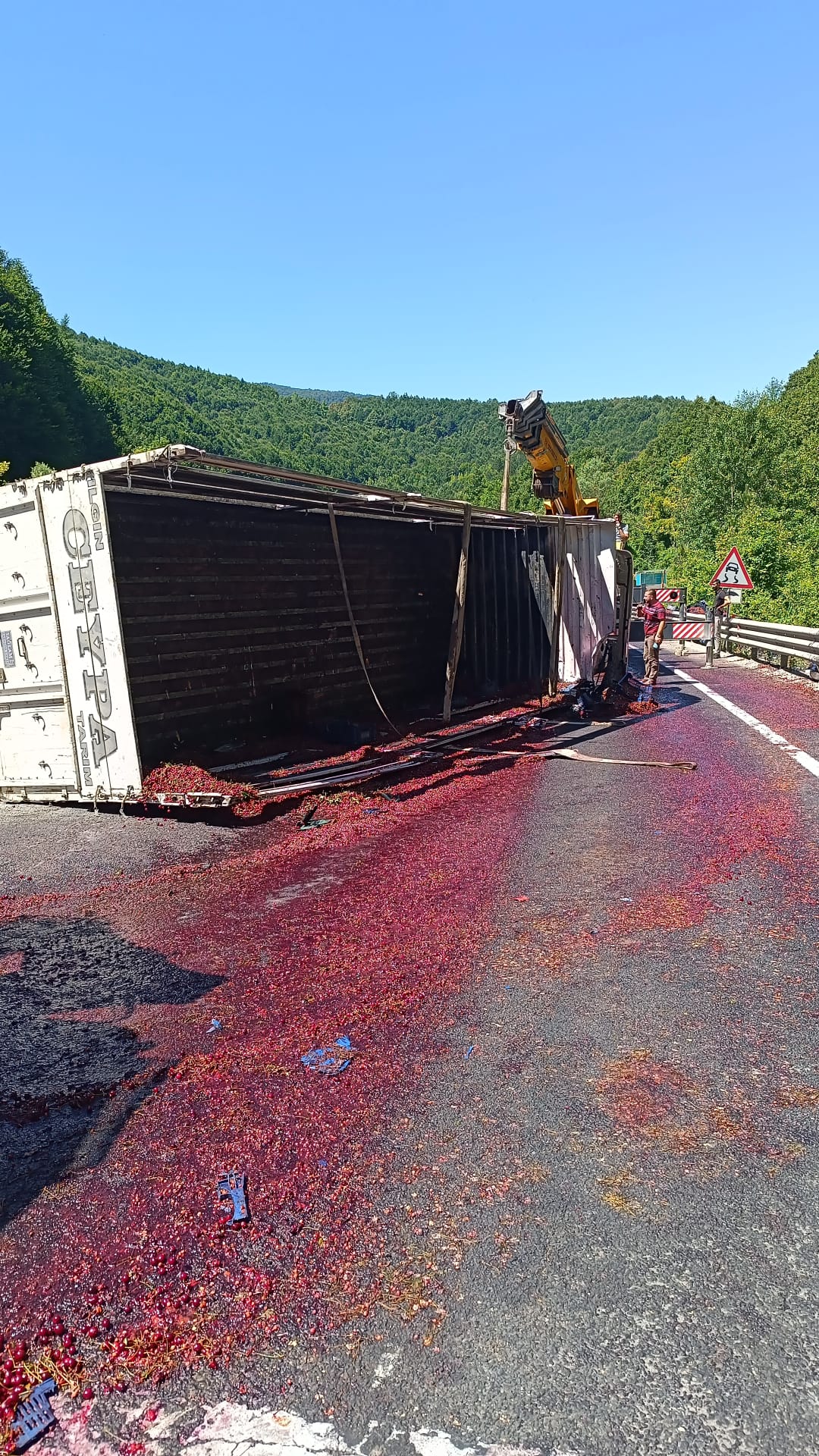 Kiraz yüklü kamyon devrildi