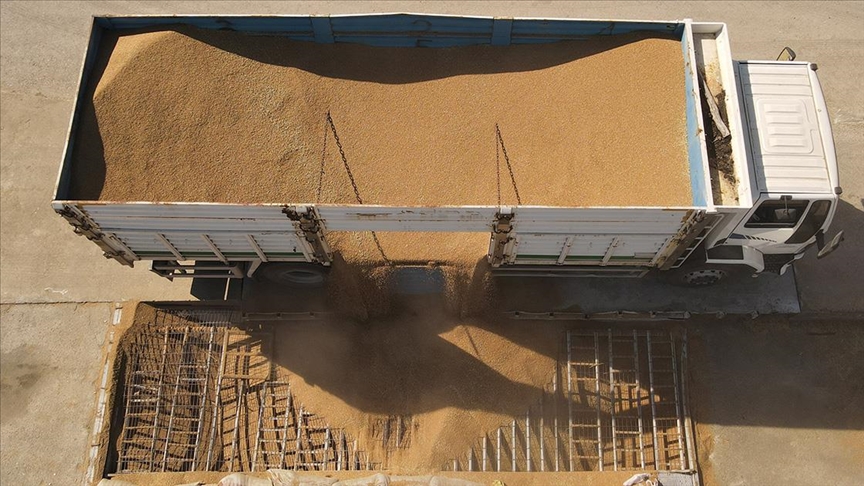 TMO’nun hububat alımları sürüyor