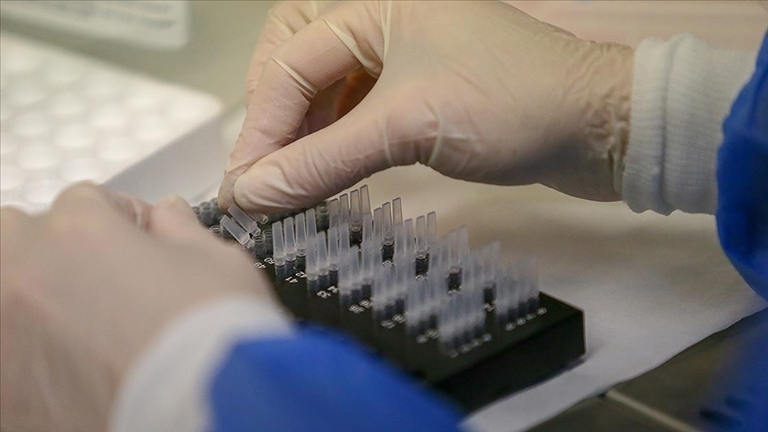 Türkiye’de hepatit görülme sıklığı belirgin oranda azaldı