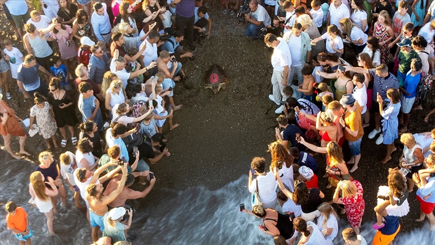 Antalya’da tedavi edilip denize bırakılan “Lara” adlı caretta caretta, bir yılda 3 bin kilometre yol katetti