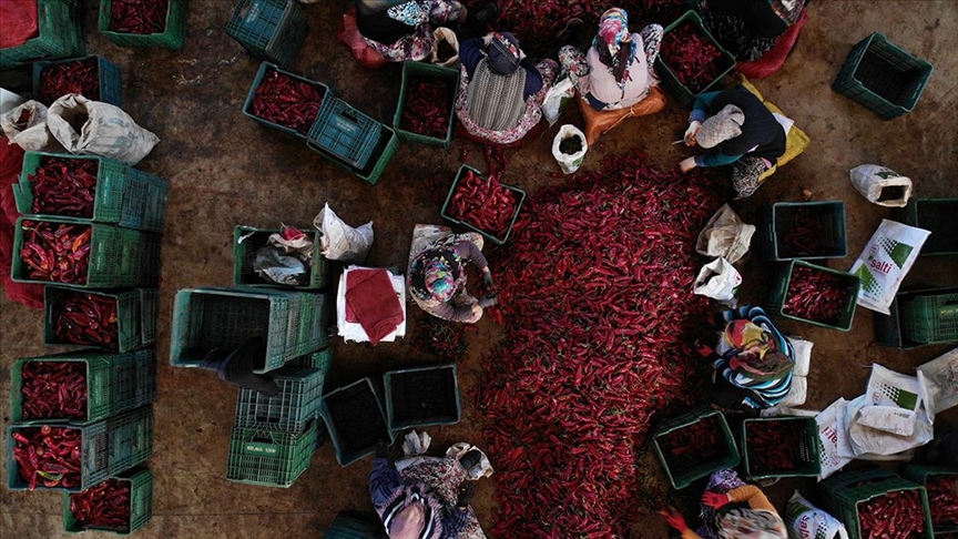 KOOP-DES’te kadın kooperatiflerine yönelik hibe tutarları güncellendi