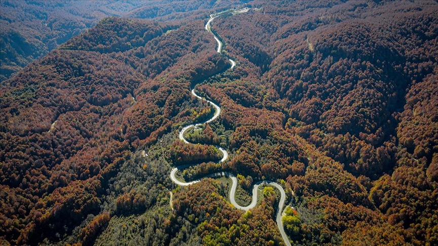 İnegöl’de ormanlara giriş yasaklandı