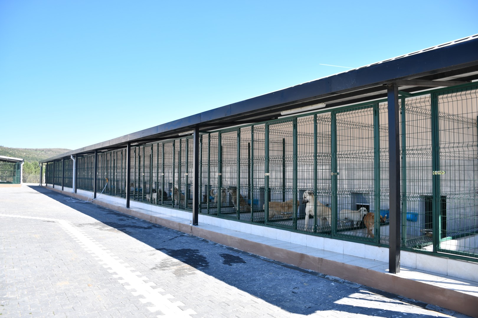 İNEGÖL BELEDİYESİ BARINAĞINI AYDA 400 KİŞİ ZİYARET EDİYOR