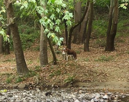 Oylat’ta korku dolu anlar