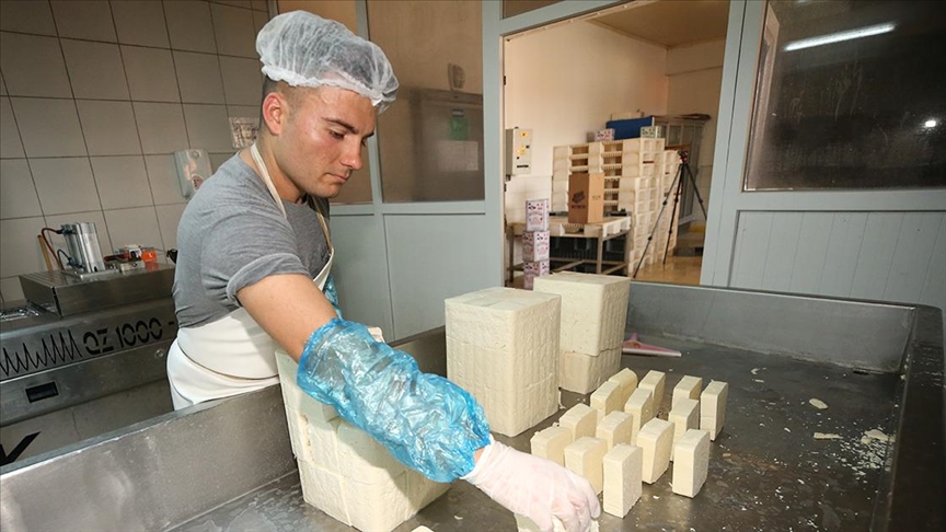 Ezine peynirinin AB’de tescili için gün sayılıyor