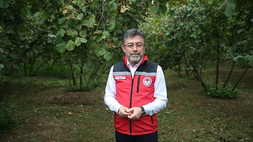 Bakan Yumaklı: TMO 28 Ağustos’tan itibaren fındık alımına başlamış olacak