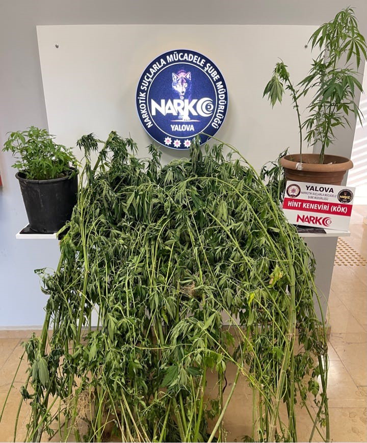 Uyuşturucu operasyonlarında 3 şüpheli yakalandı