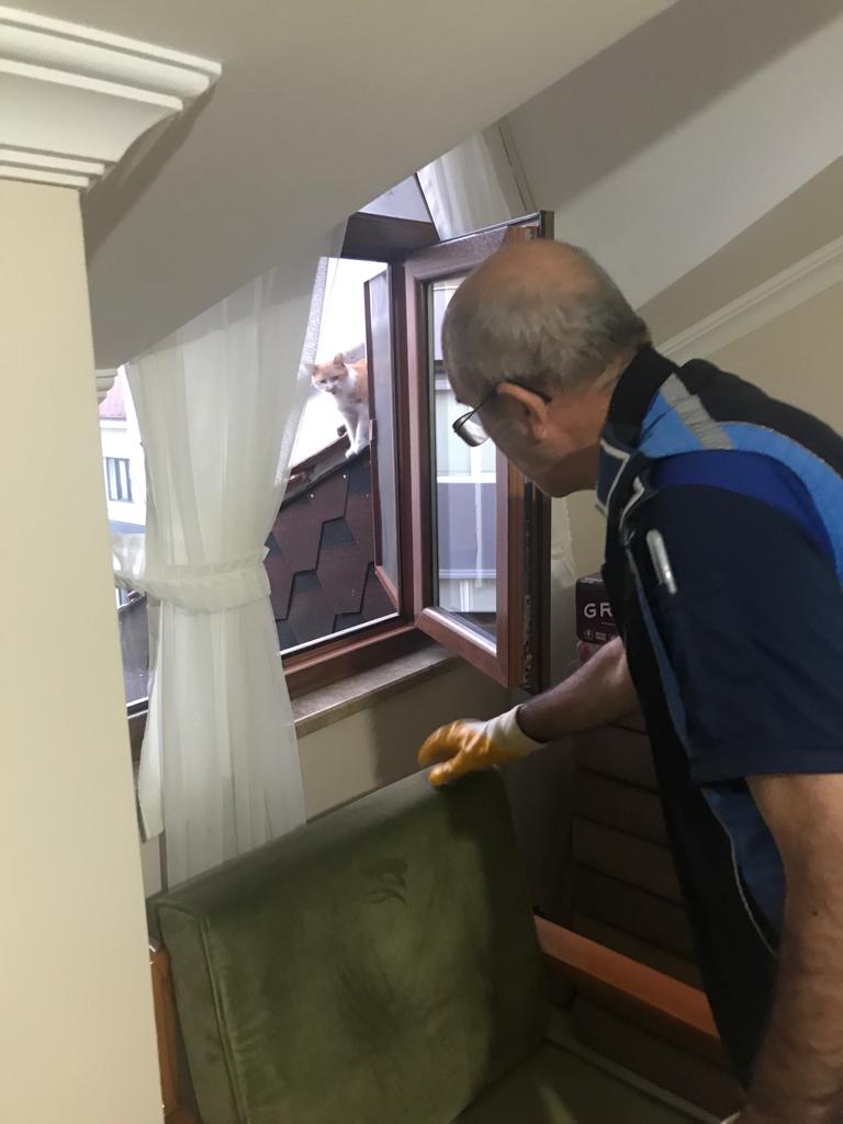 Hamidiye’de mahsur kalan kedi kurtarıldı