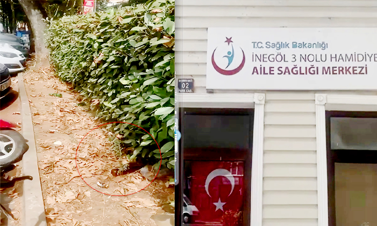 Sağlık ocağı bahçesinde tepkilere neden olan kare