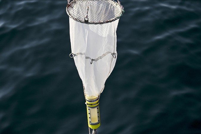 Marmara Denizi’nde oksijen azalıyor, sıcaklık artıyor