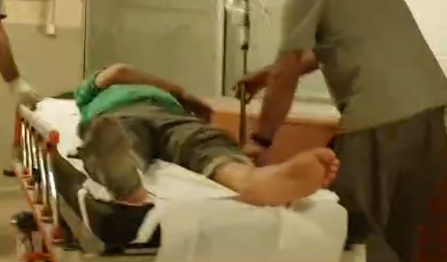 Zehirli yılanın ısırdığı kişi hastanelik oldu