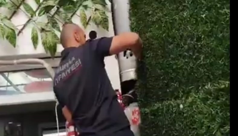 İki bina arasına sıkışan güvercin kurtarıldı