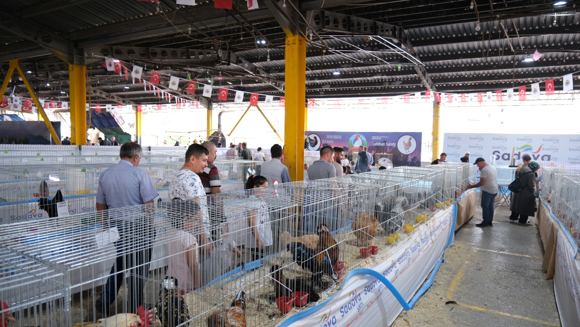 İNEGÖL’DE PODYUM KOÇ VE SÜS TAVUKLARININ