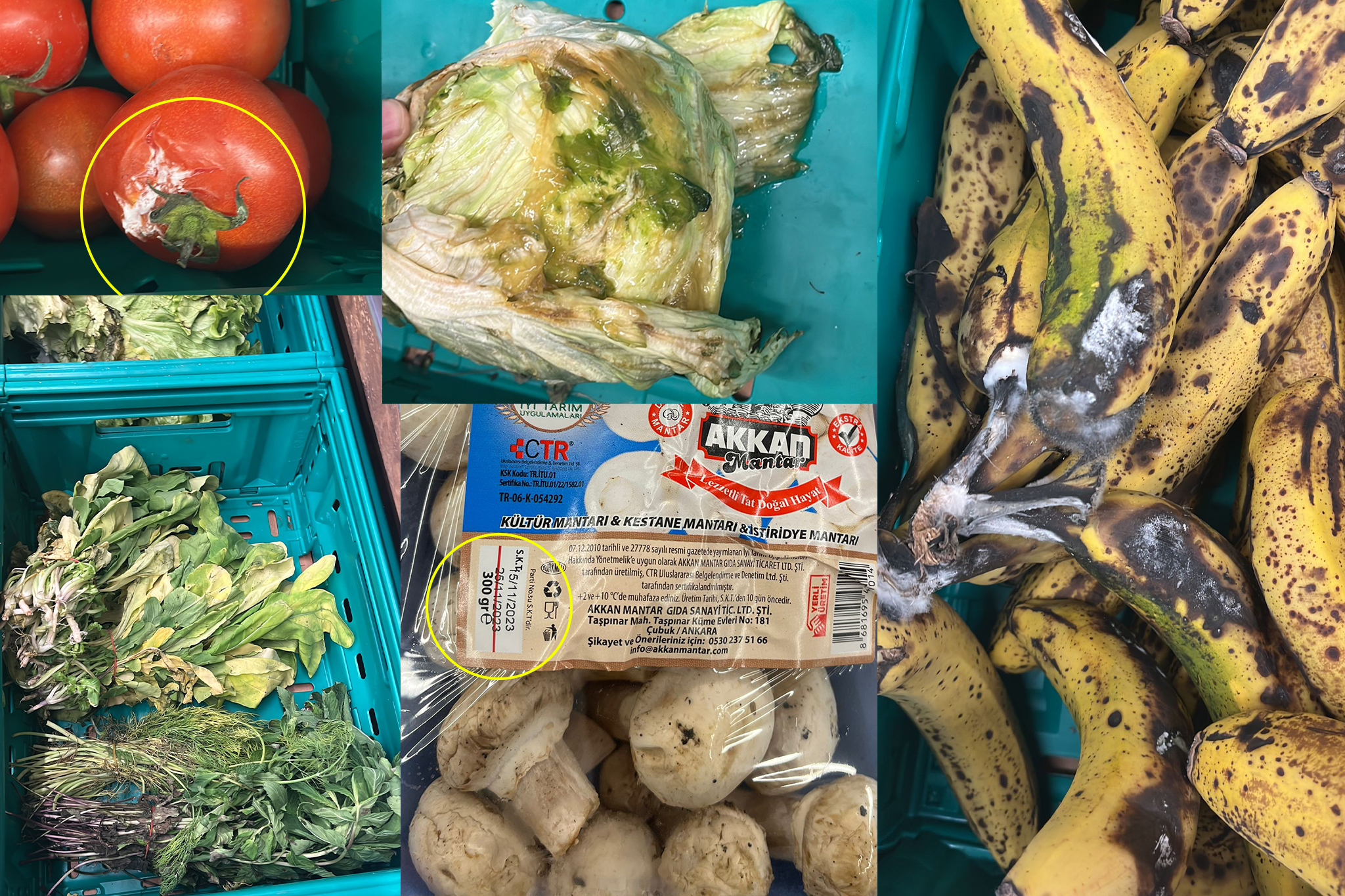 Akhisar’da ‘şok’ olay Hayvanların bile yemeyeceği ürünleri  insanlara satmaya çalıştılar