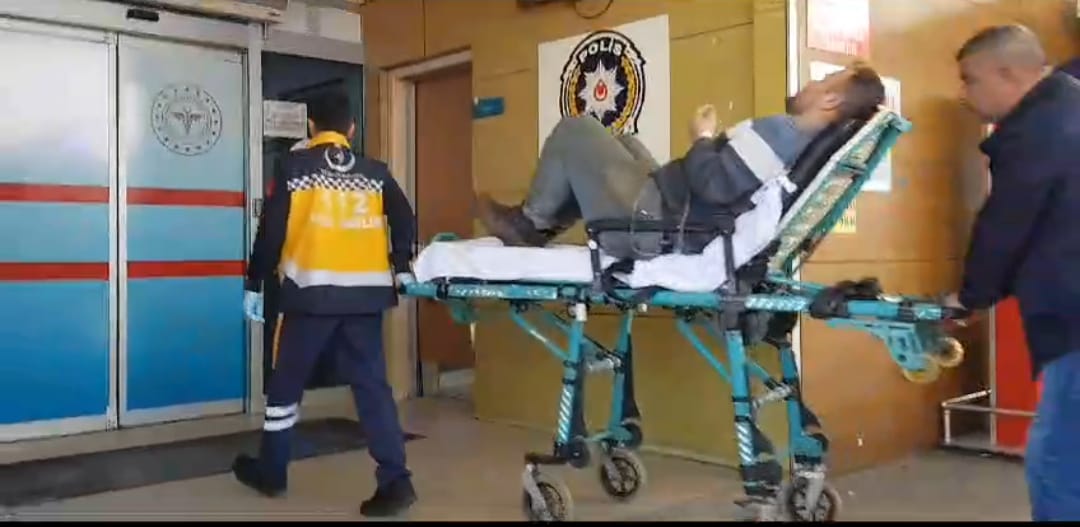 İnegöl’de arı hastanelik etti