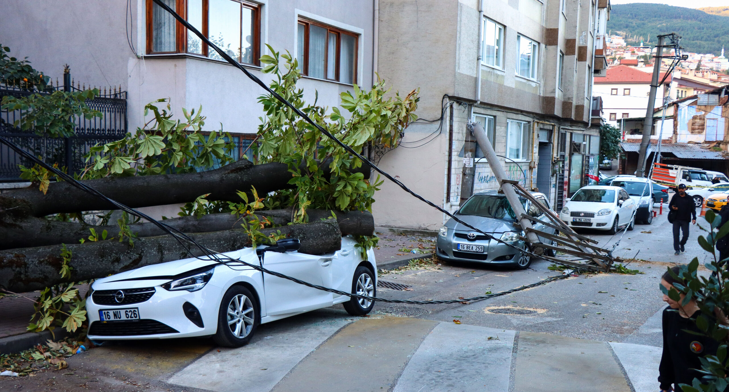 Lodos nedeniyle ağaç ve elektrik direği araçların üzerine devrildi