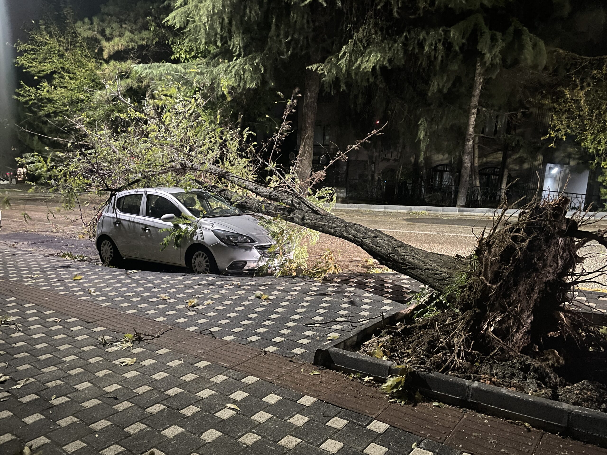 Lodos yıktı geçti