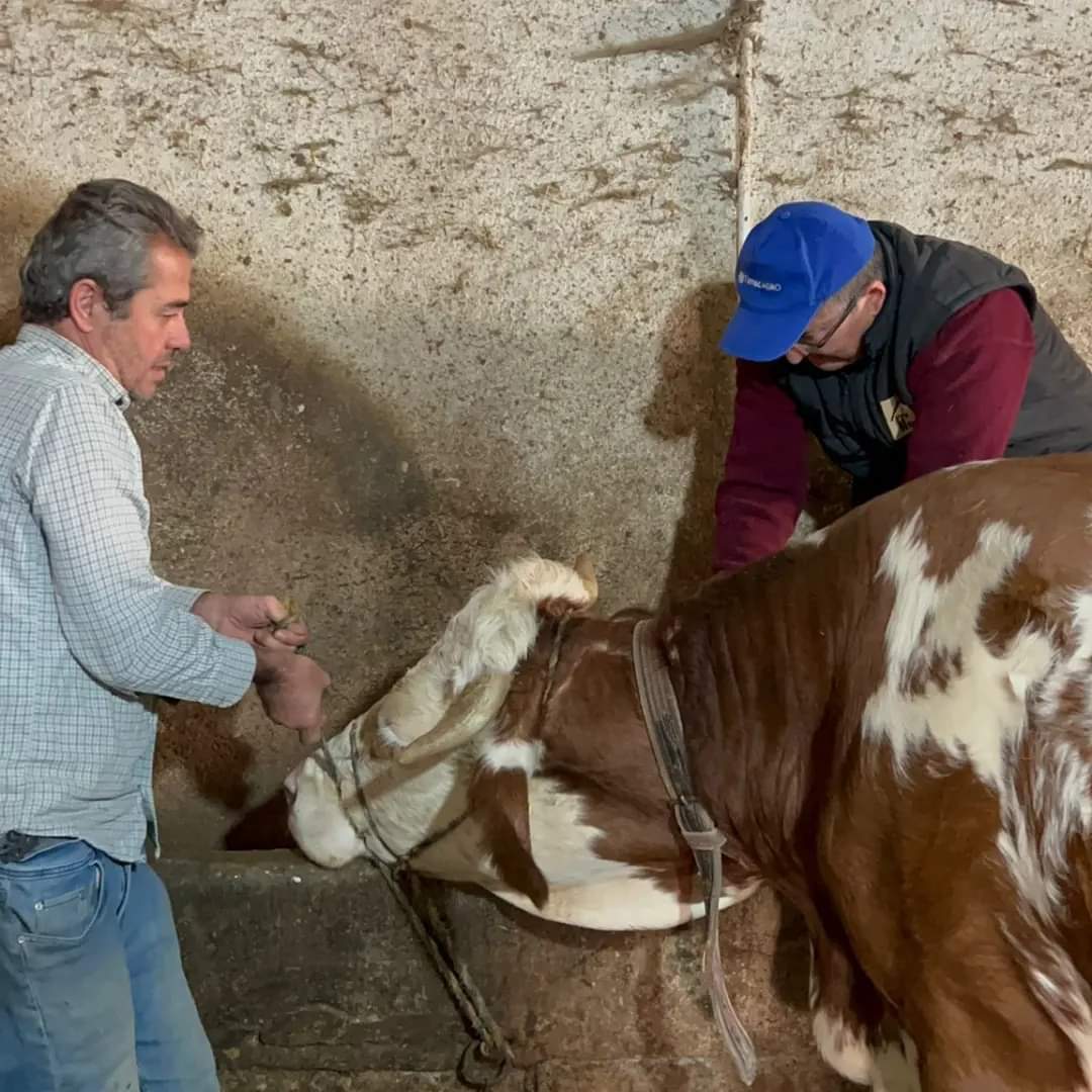 İnegöl’ün köylerinde o işlem yeniden başladı