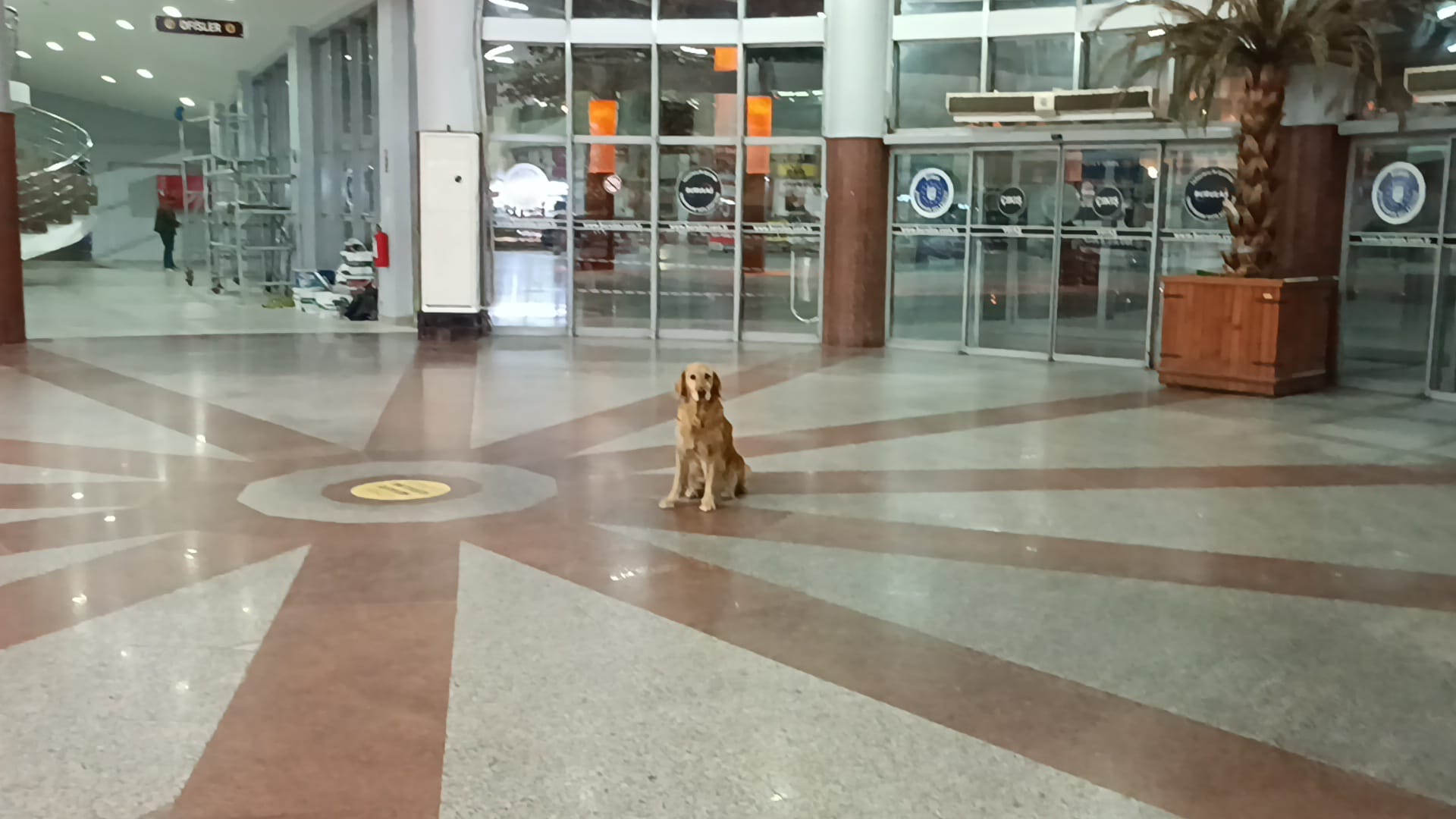 Otogarın maskotu oldu