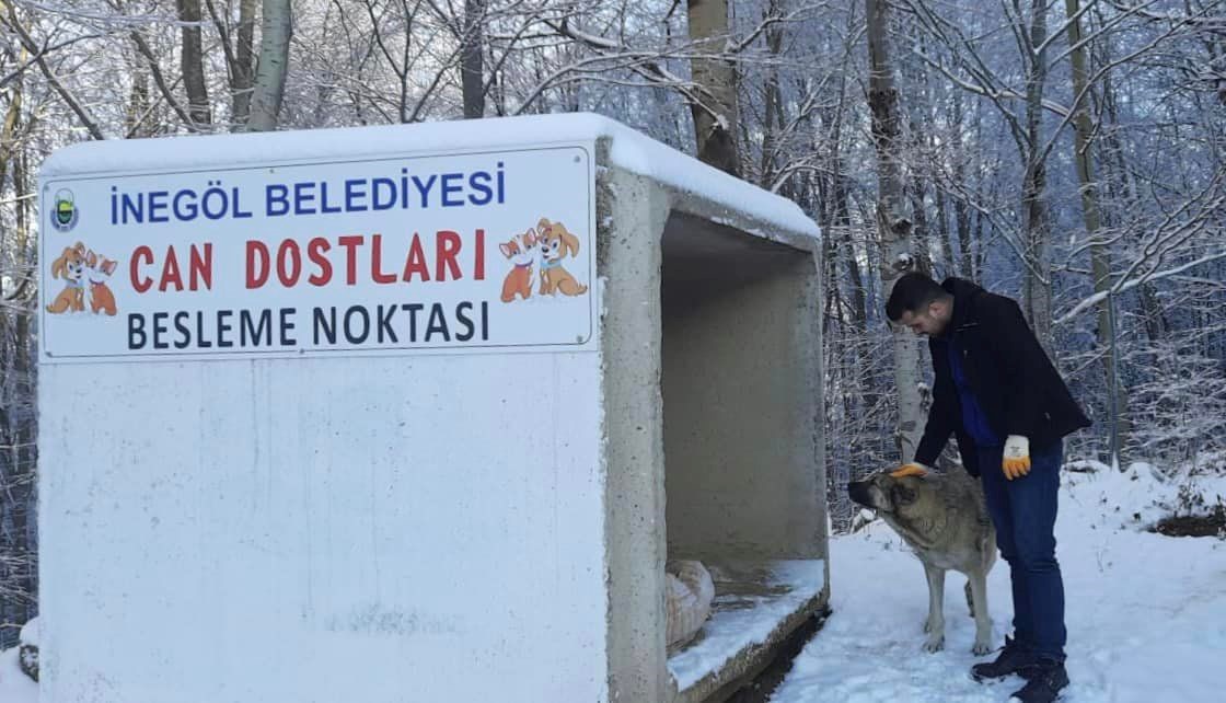 CAN DOSTLARININ GÜVENLİ YUVASI; İNEGÖL BELEDİYESİ