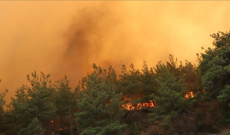 Orman yangınları esnasında yüksek ısıya maruz kalan krom zehirli forma dönüşüyor